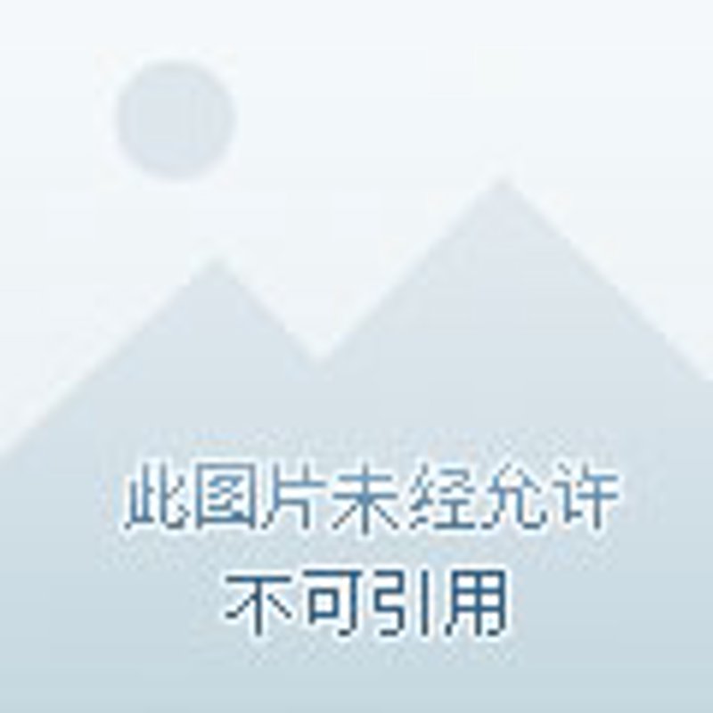 蔬菜种植：从初学者到高手的秘密武器