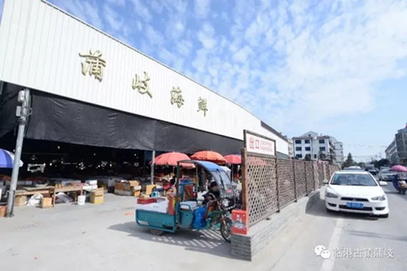 如何选择和储存新鲜蔬菜？让我们的指南帮助您保持餐桌上的绿色与鲜美。